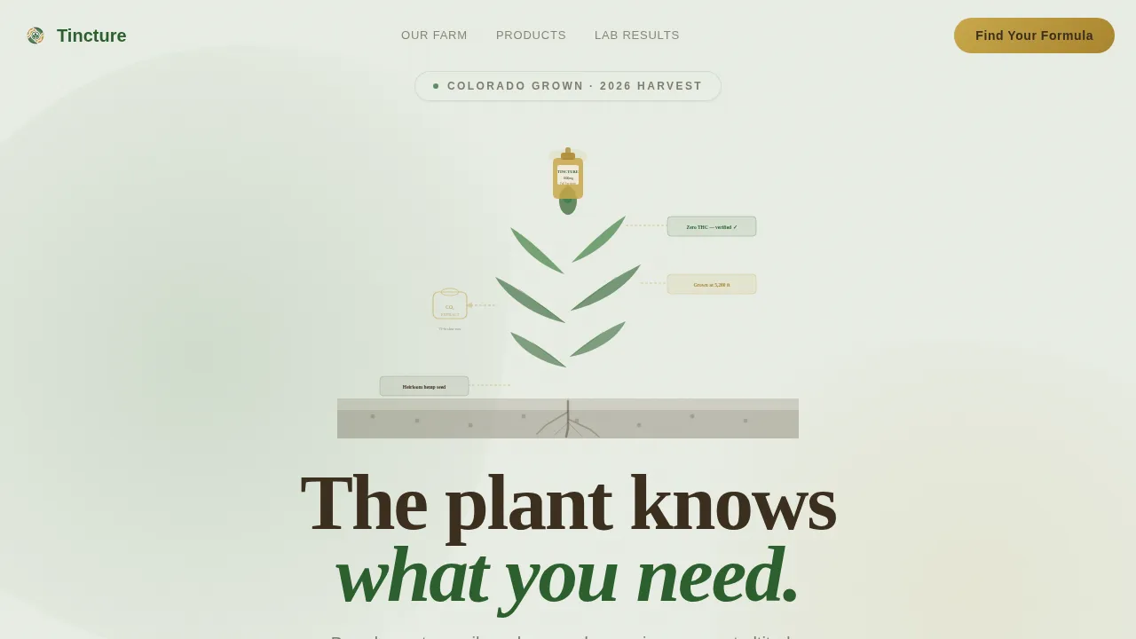Dispensary & Retail Professional Website Template