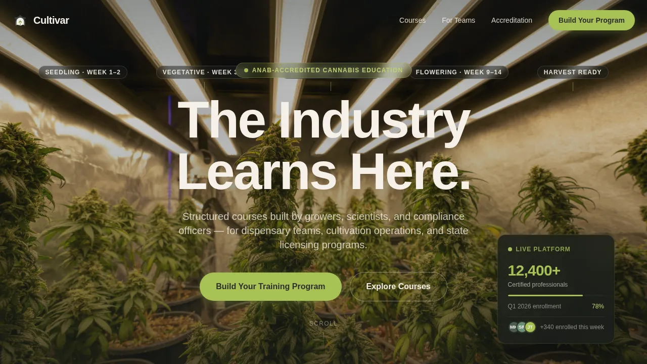 Cannabis Industry Education Website Template