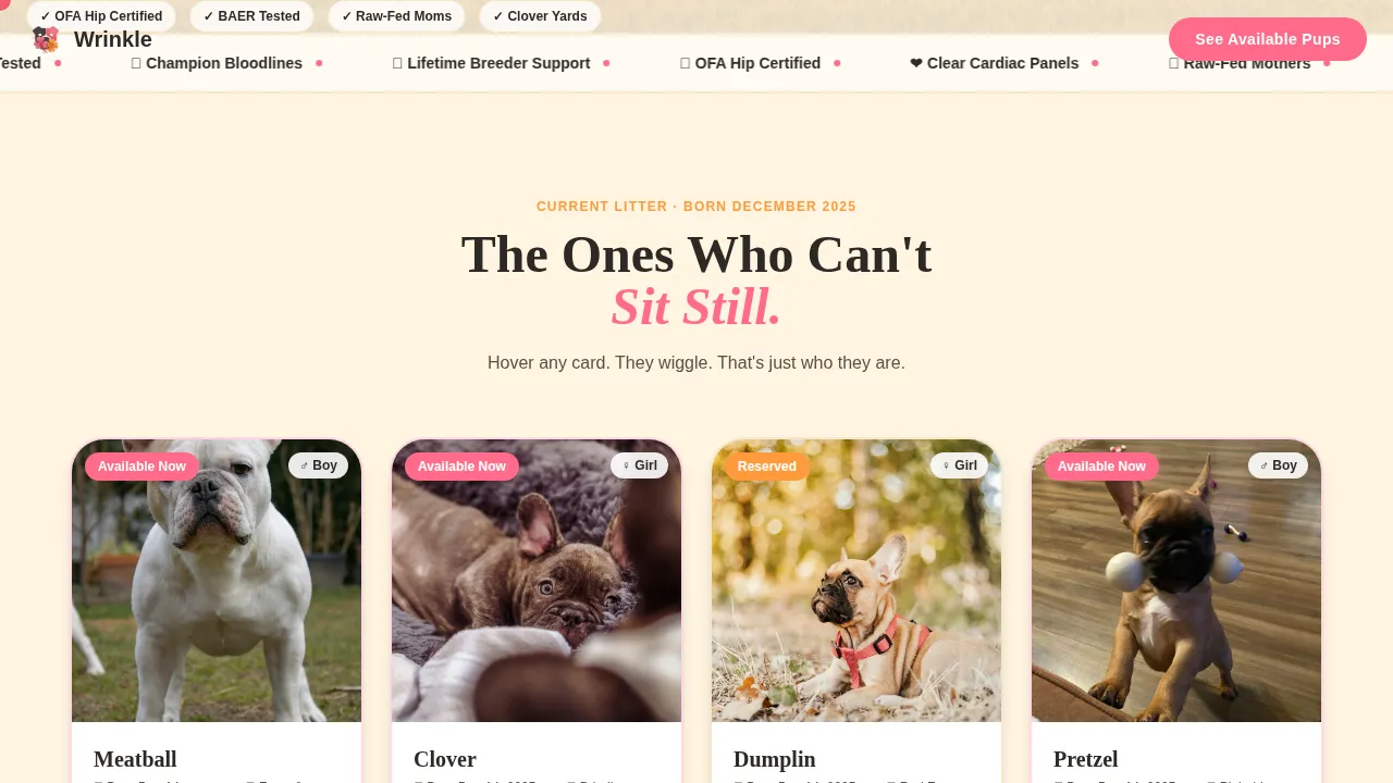 Dog Advanced Pre-Launch Website Template