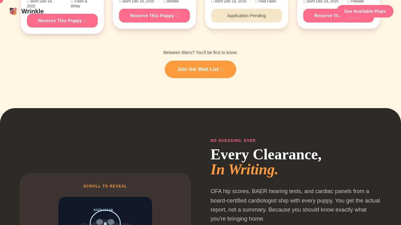 Dog Advanced Pre-Launch Website Template