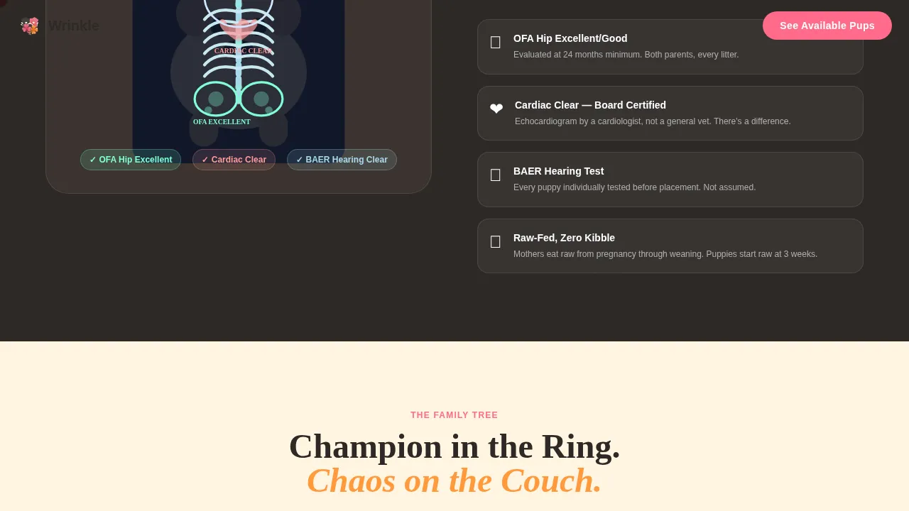 Dog Advanced Pre-Launch Website Template