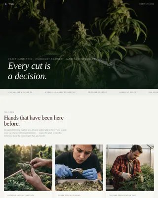 Certified Cannabis Industry Services Professional Website Template