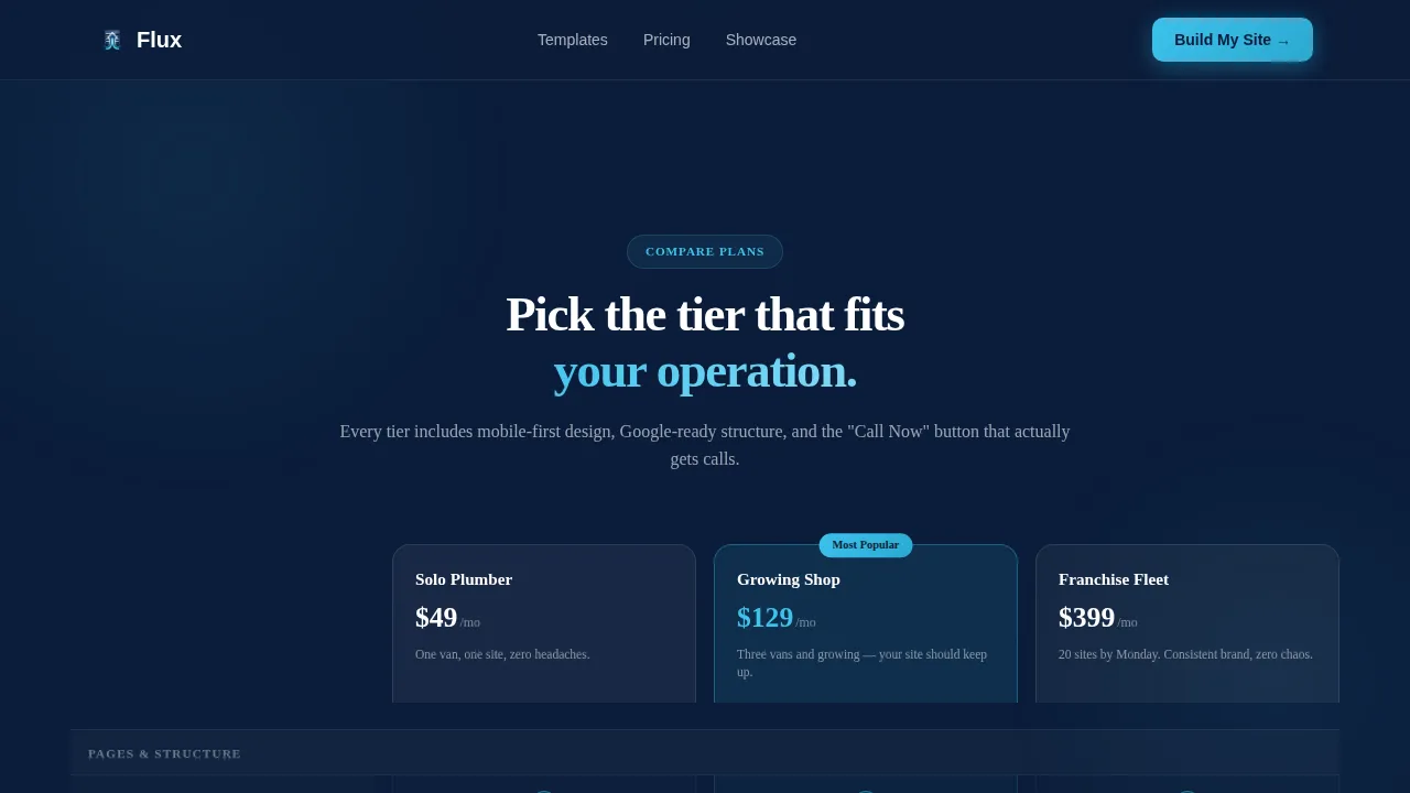 Plumbing Digital Presence Reviews Website Template
