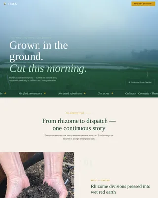 Fresh Harvest Lemongrass Farm Landing Page Template