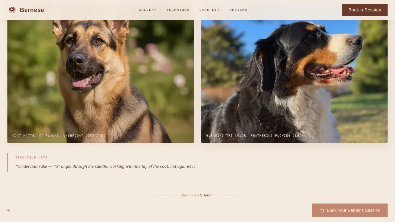 Dog Expert Booking Website Template