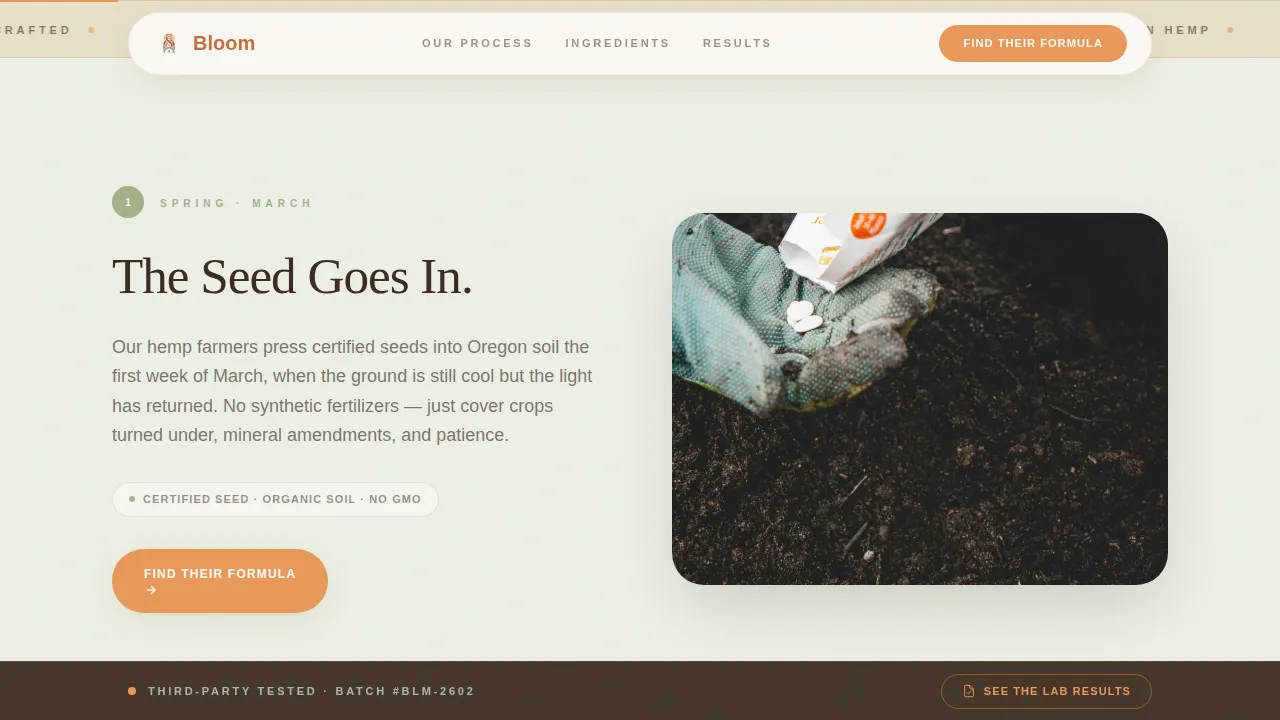 Premium Cannabis Industry Services Professional Website Template