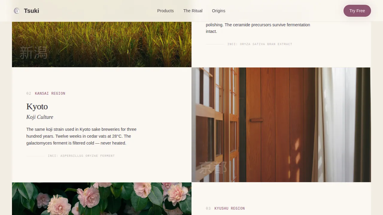 Ritual Japanese Skincare | Free Website Template | Rocket