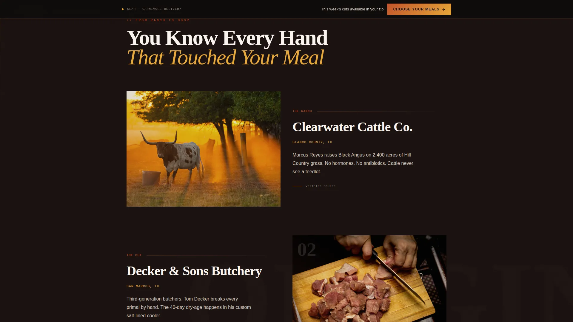 Carnivore Diet Food & Dining Specialist Booking Website Template