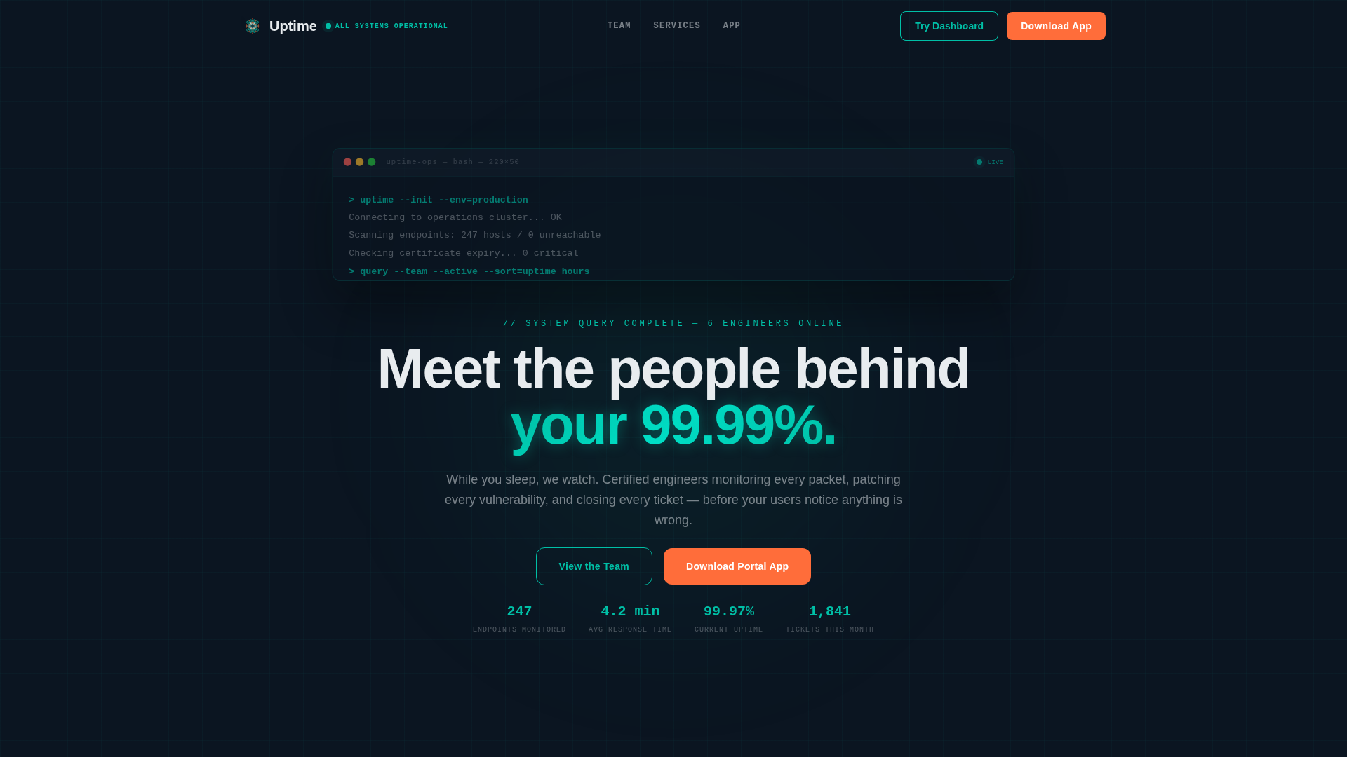 IT Services Company Reviews Website Template