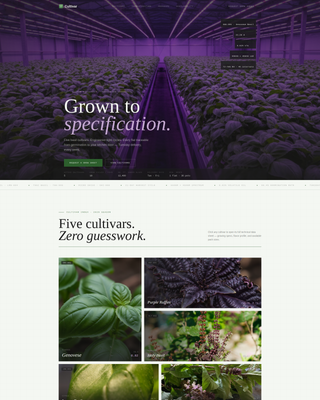 Spice & Herb Farm Professional Website Template
