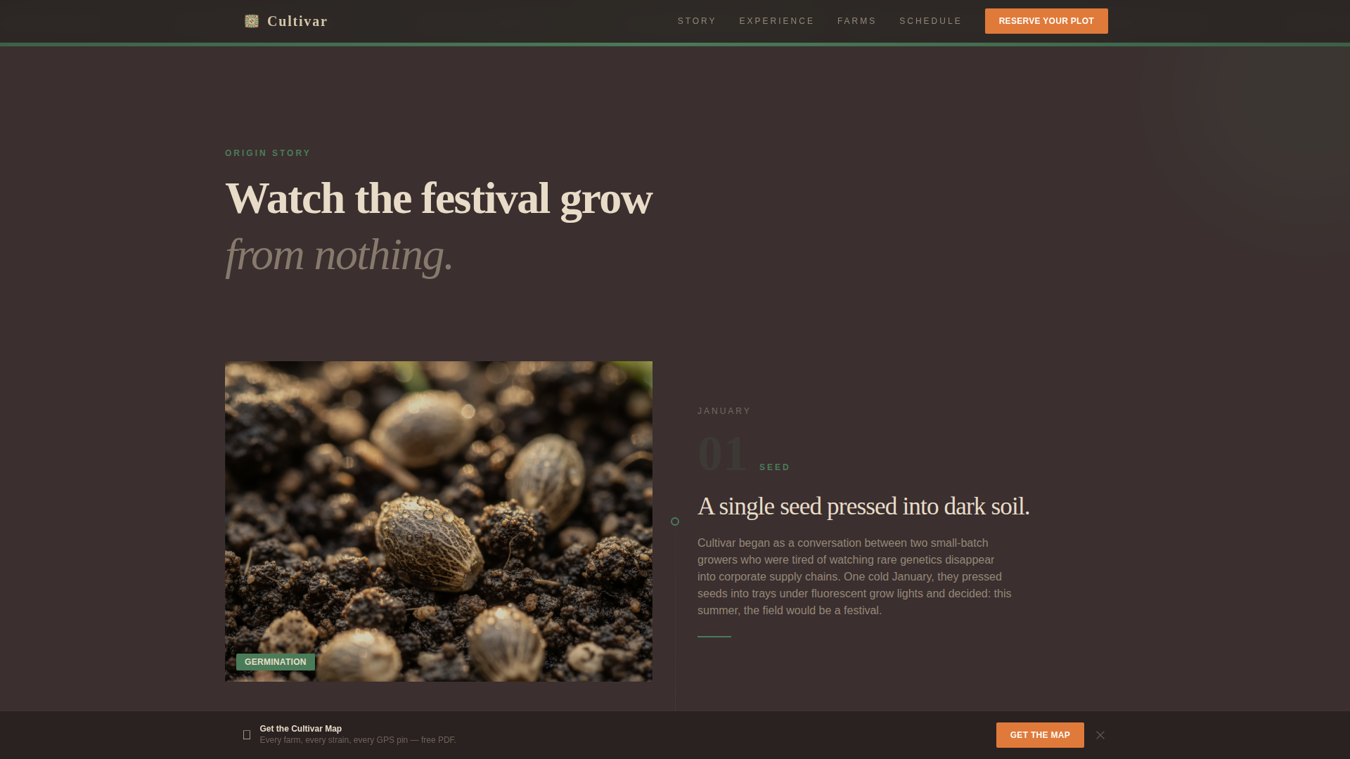 Cannabis Industry Booking Website Template