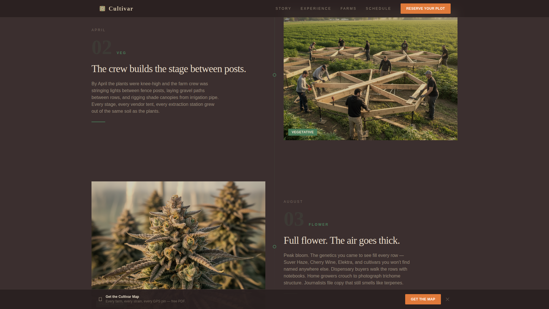 Cannabis Industry Booking Website Template
