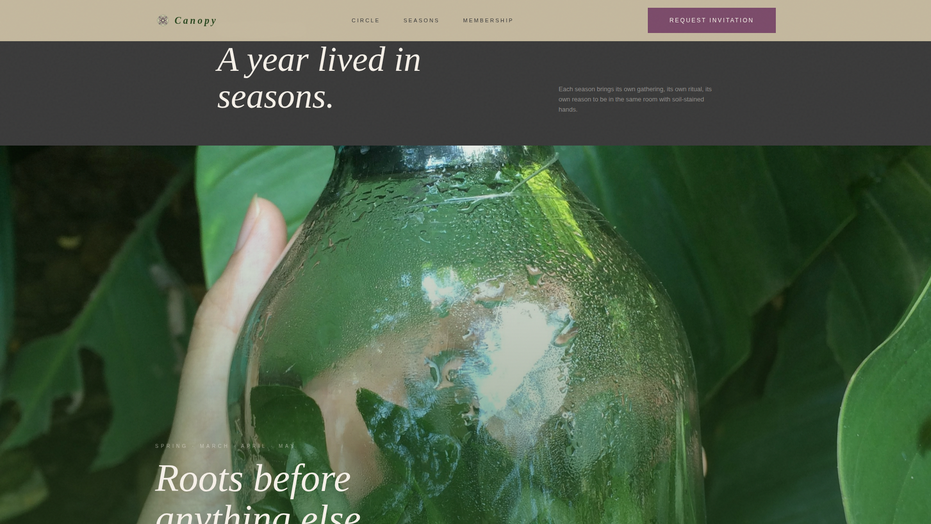 Cannabis Industry Professional Website Template