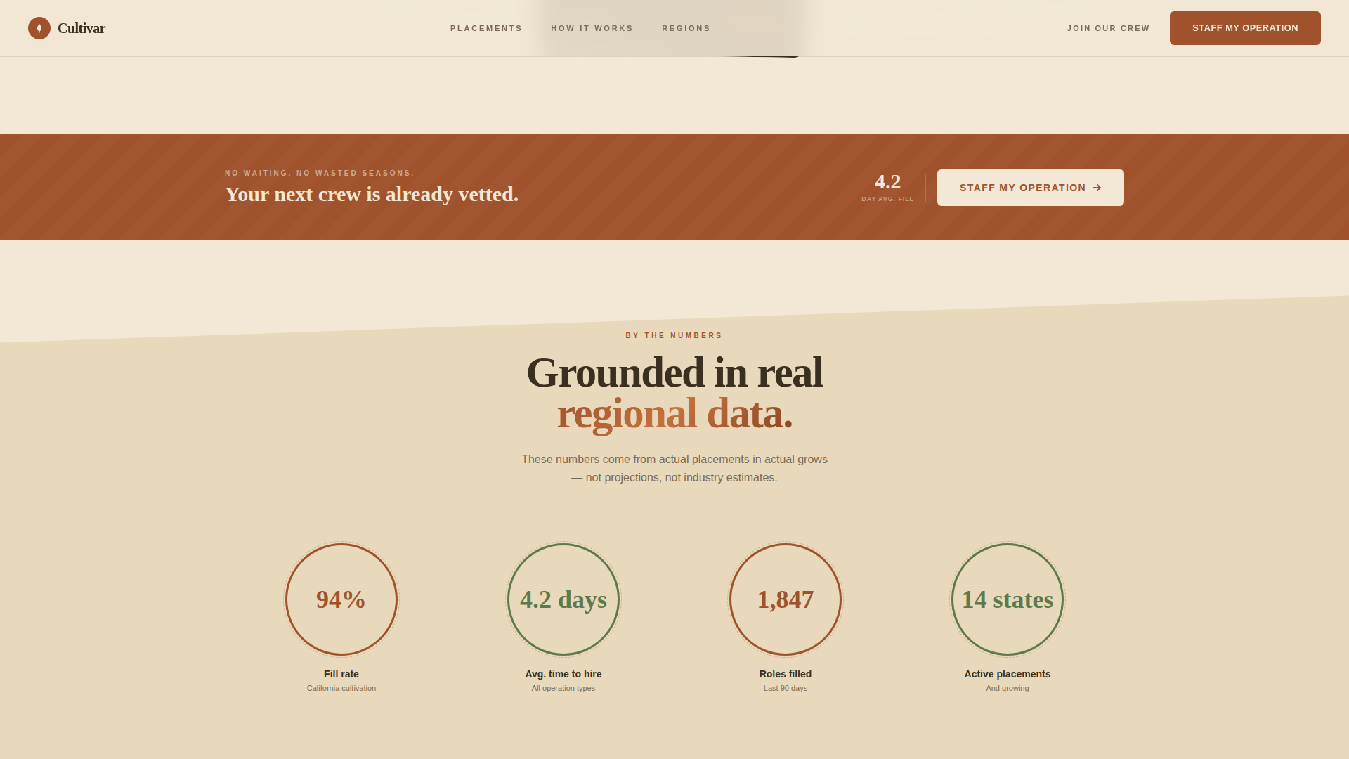 Cannabis Technology & Reviews Website Template