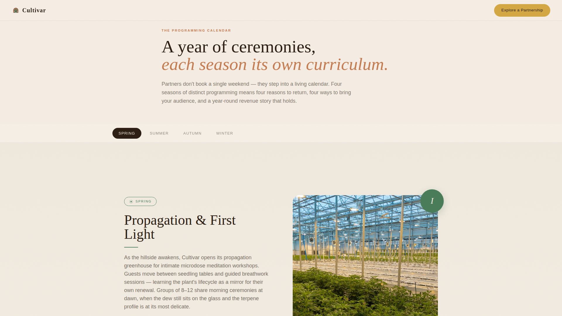 Cannabis Industry Advanced Professional Website Template