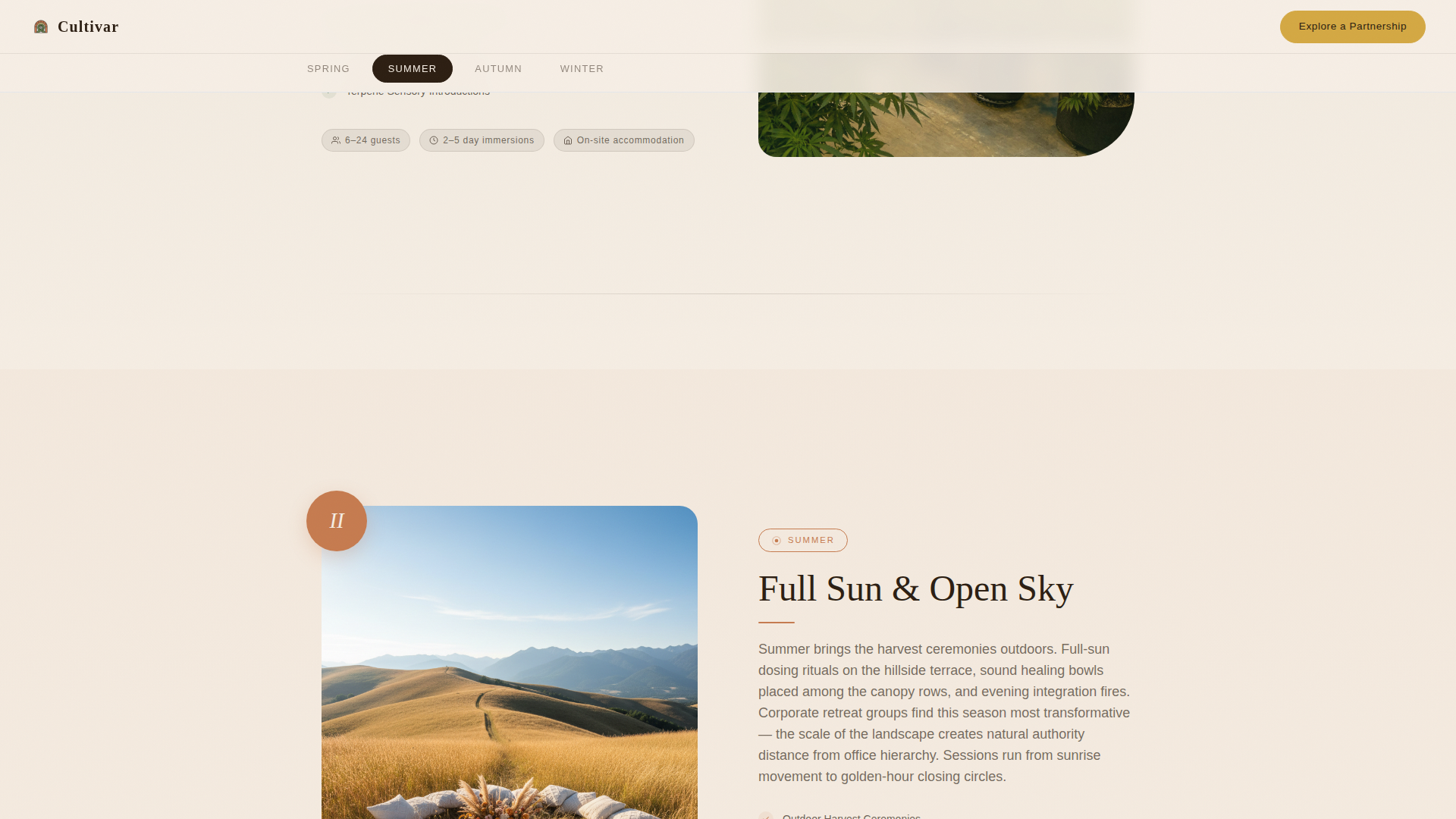 Cannabis Industry Advanced Professional Website Template