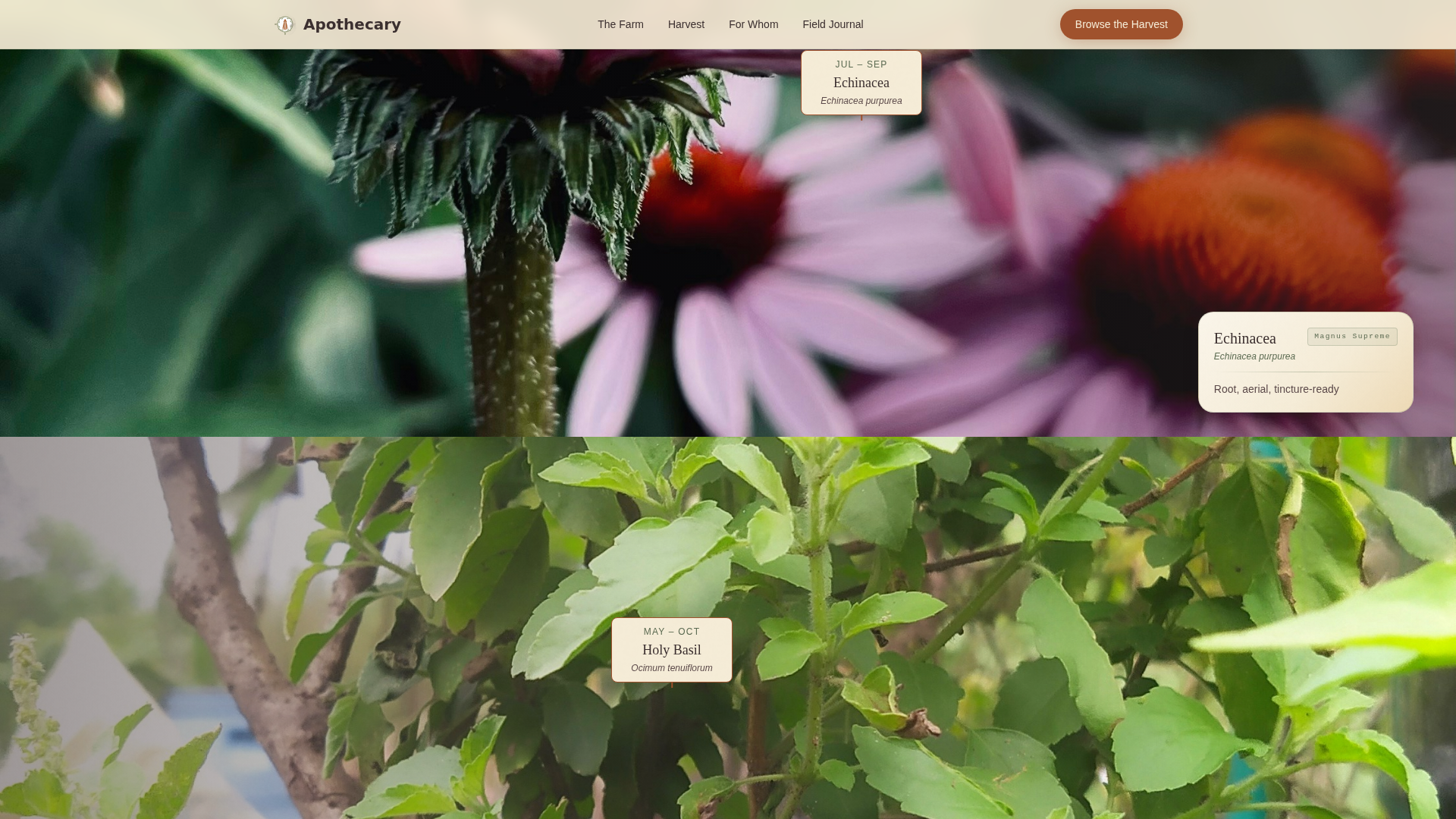 Advanced Nursery & Plant Farm Professional Website Template
