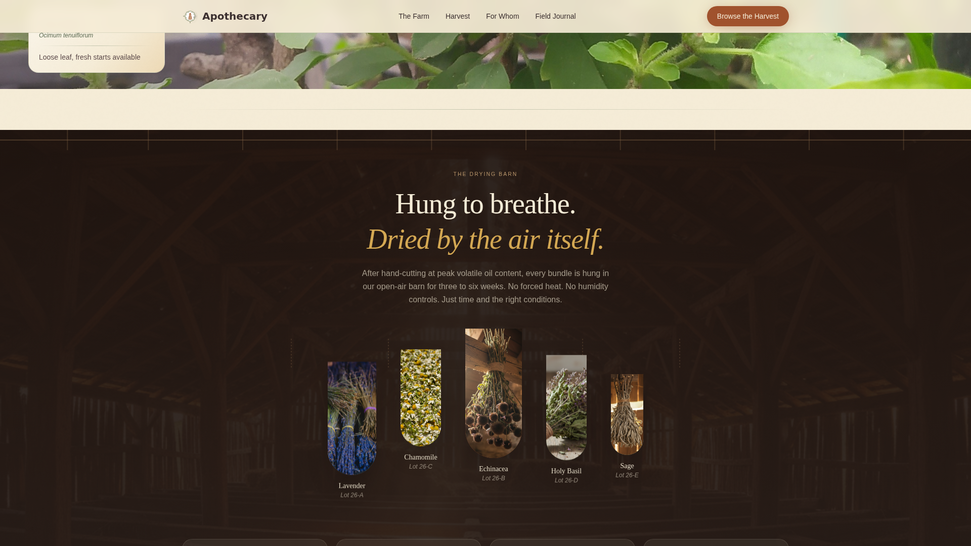 Advanced Nursery & Plant Farm Professional Website Template