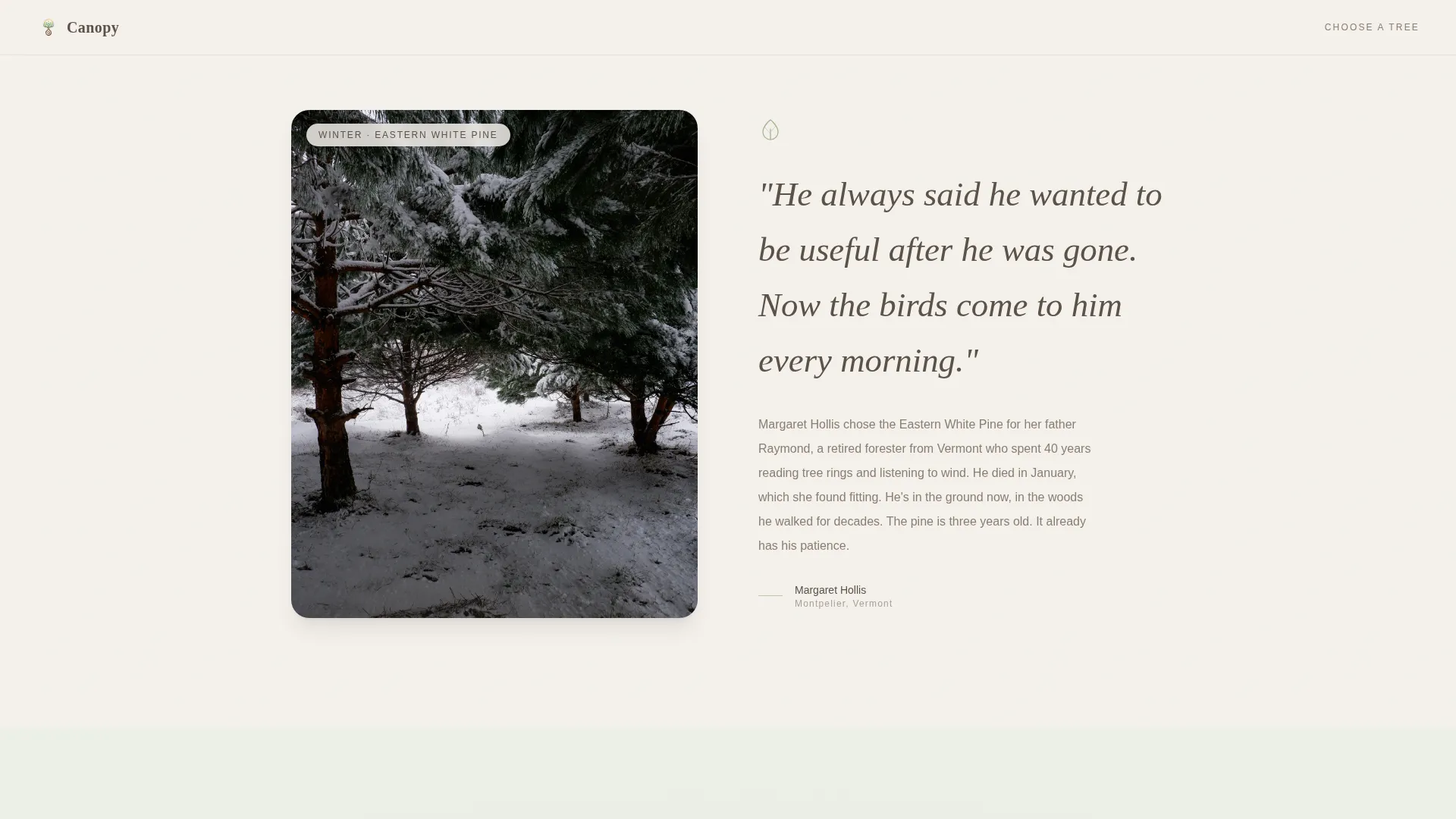 Canopy — Biodegradable Burial Pod Landing Page Template