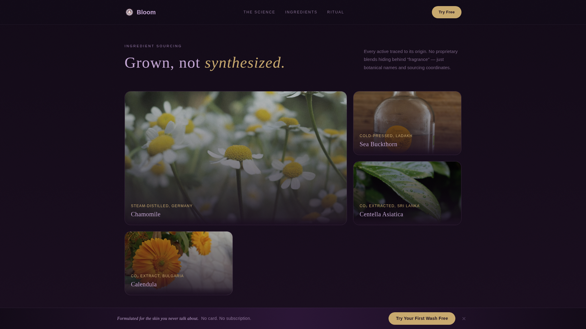 Body Care & Bath Brand Specialist Professional Website Template
