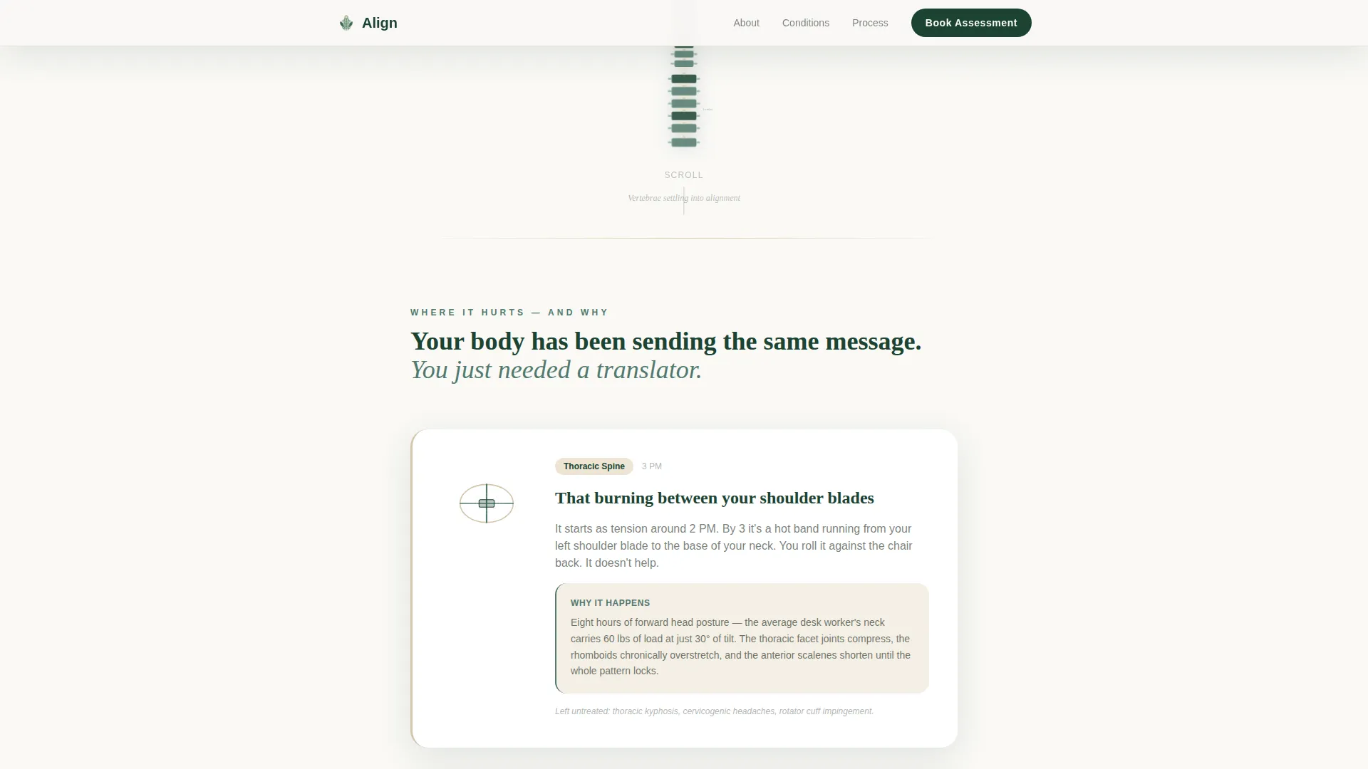 Chiropractor Appointment Booking Website Template