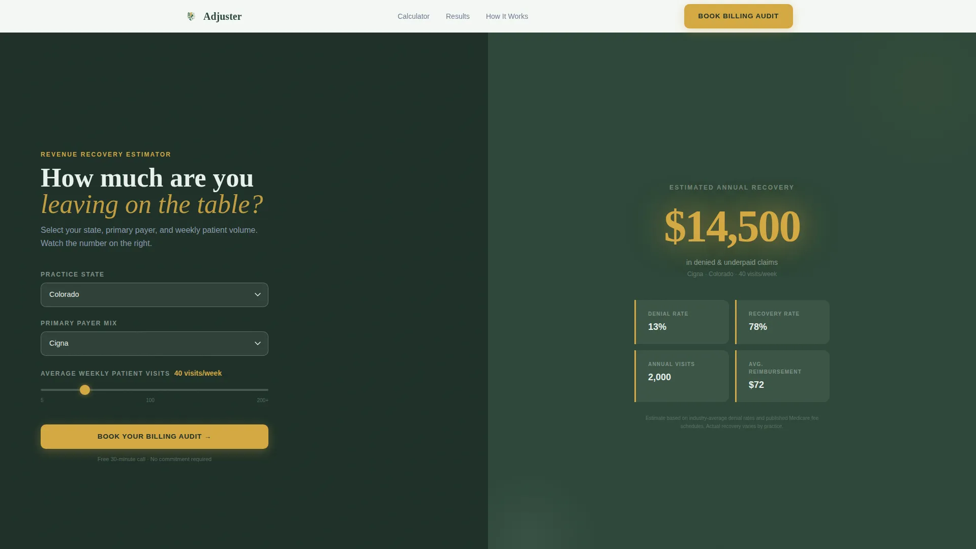 Chiropractic Insurance Billing & Revenue Recovery Website Template
