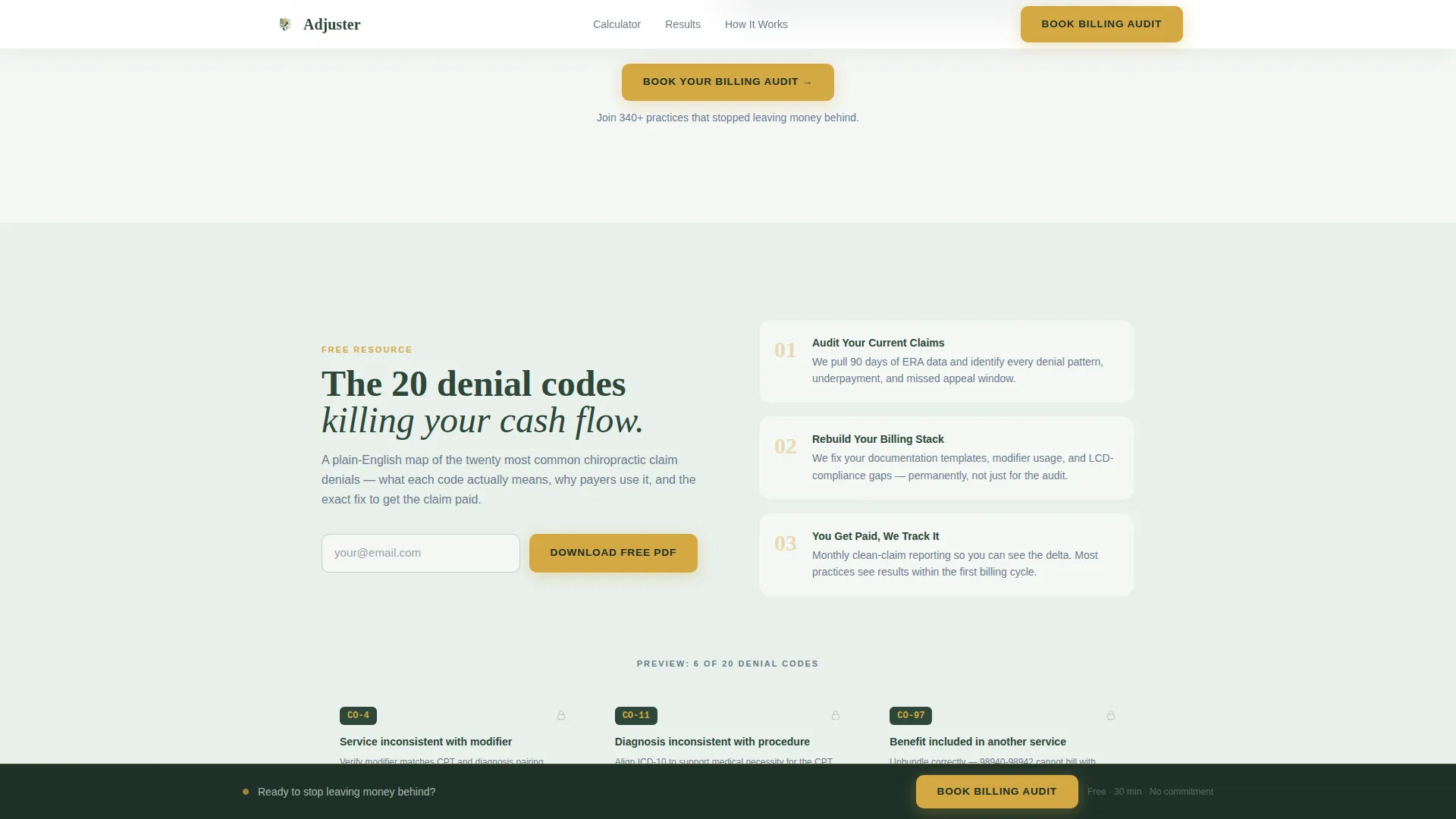 Chiropractic Insurance Billing & Revenue Recovery Website Template