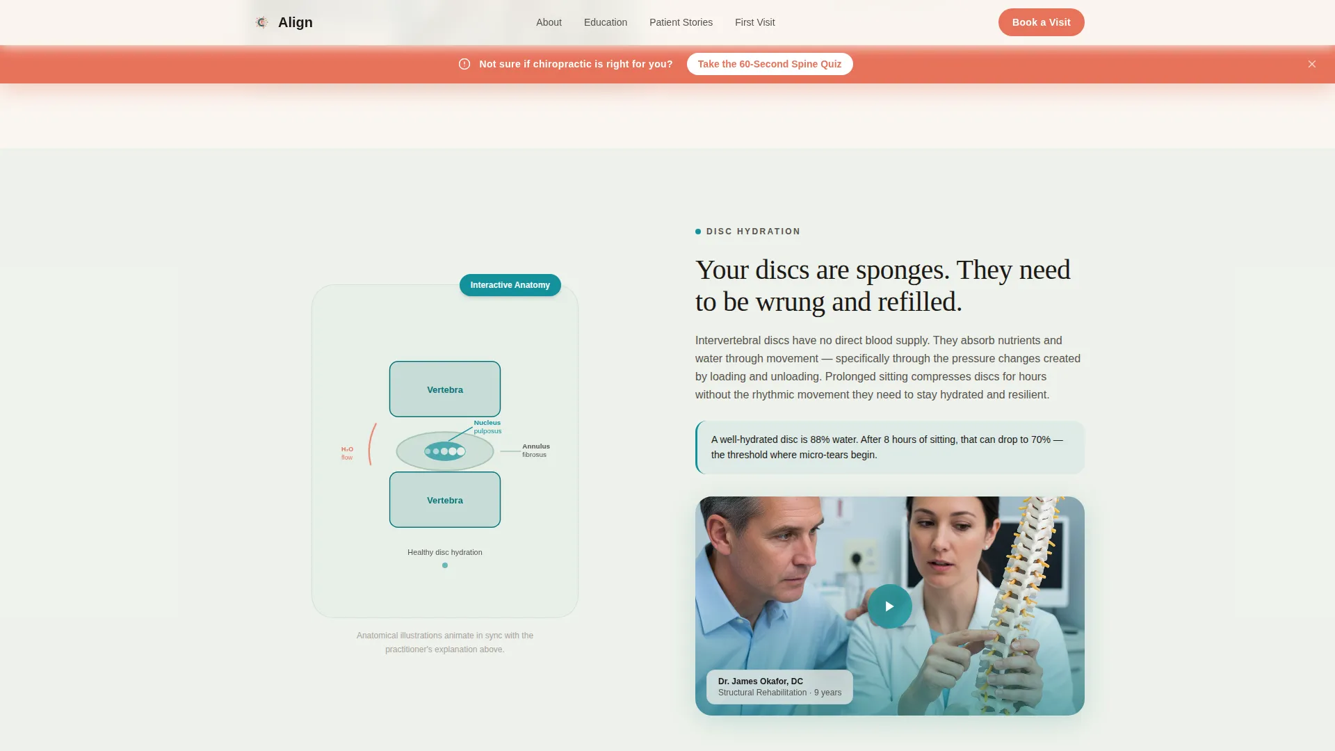 Chiropractic Patient Education Website for New Patients