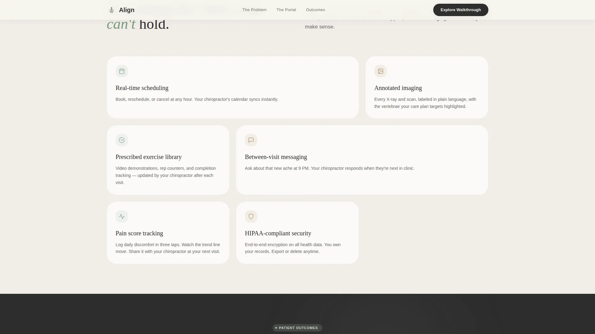 Chiropractic Patient Portal Landing Page Template