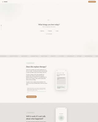 Anchor - Compassionate PTSD Landing Page Template