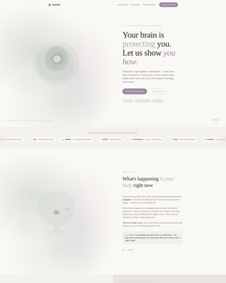 Anchor - Trusted PTSD Landing Page Template