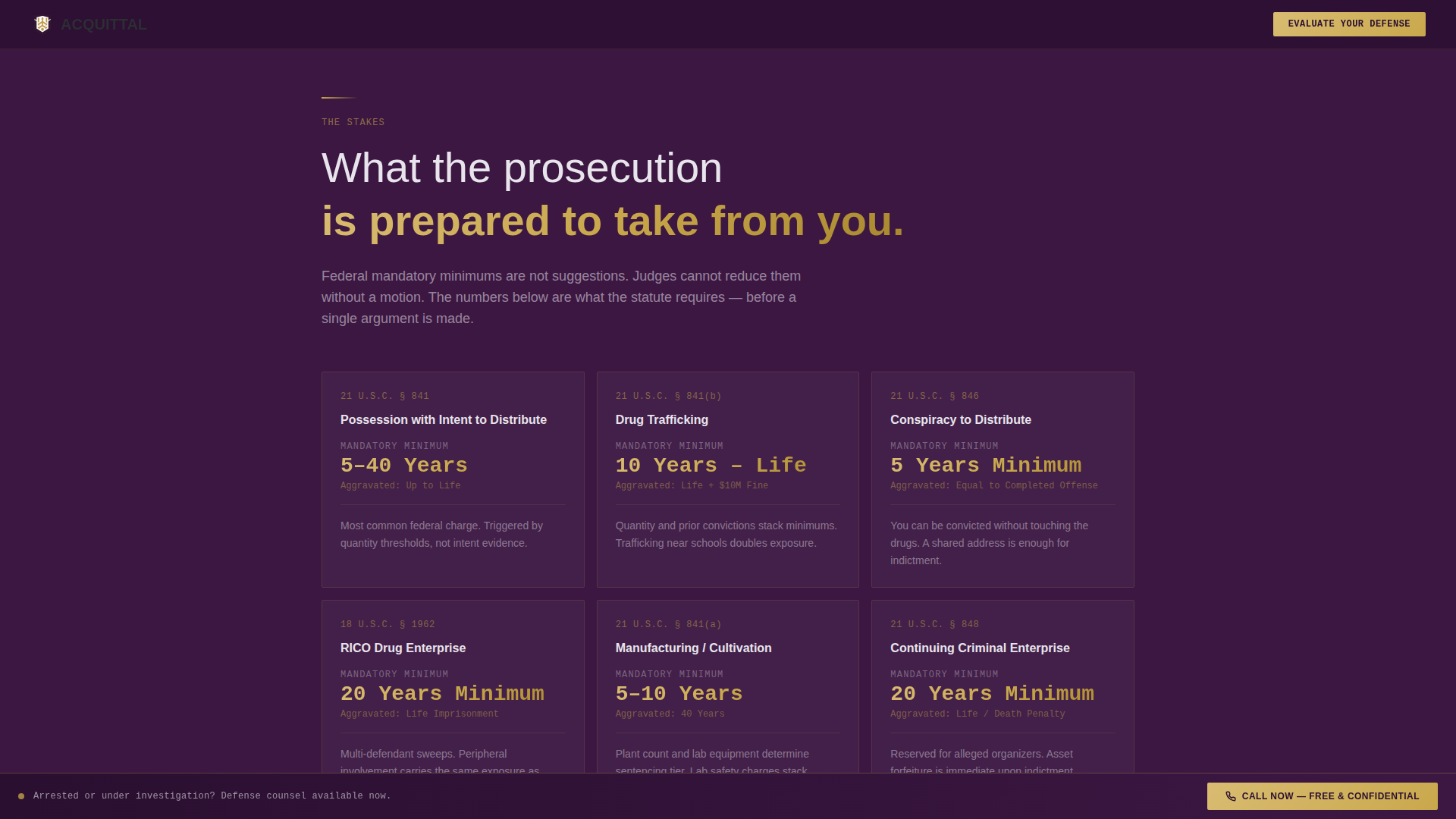 Criminal Defense Professional Website Template