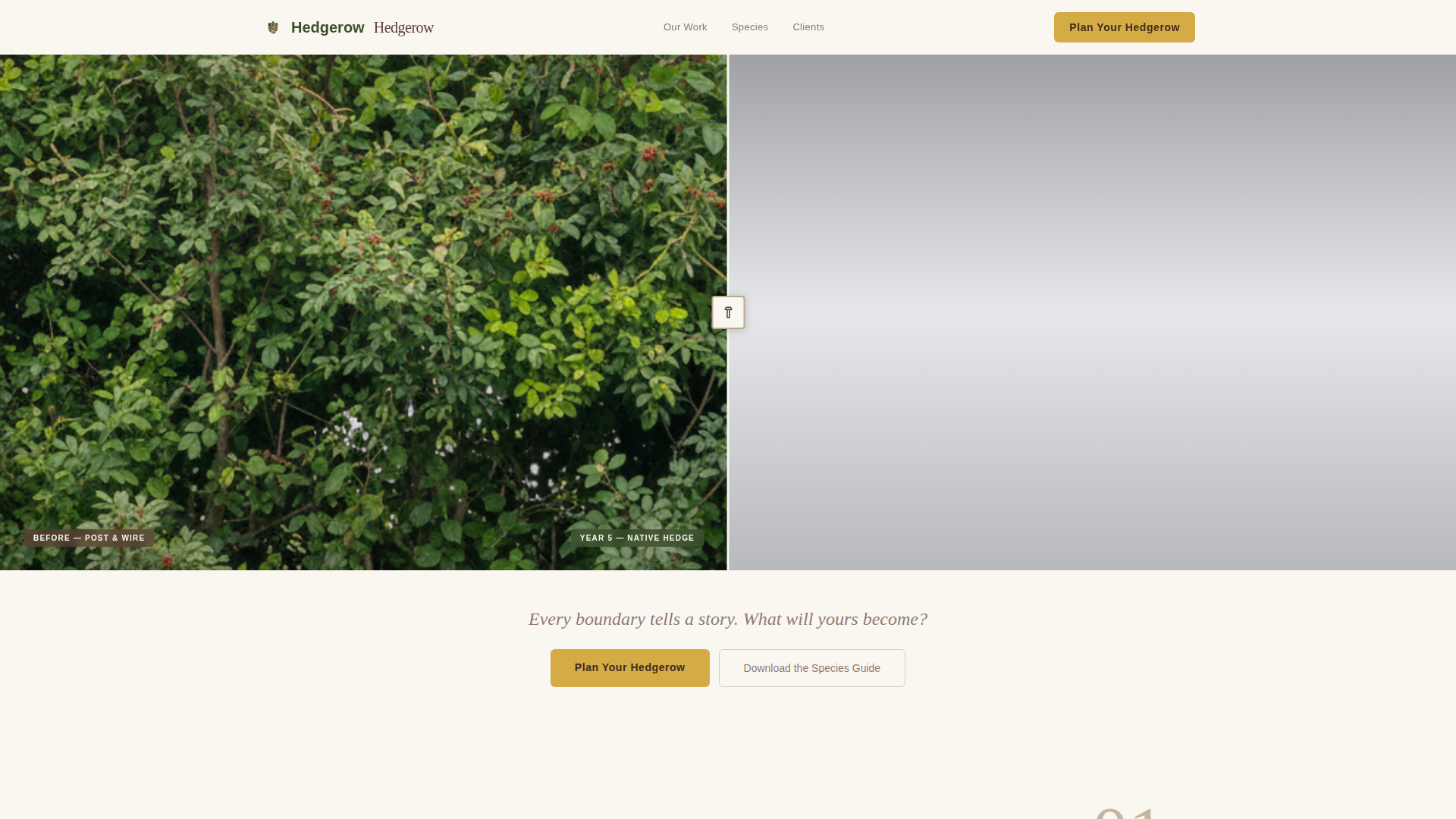 Living Fence & Hedge Installation Landing Page