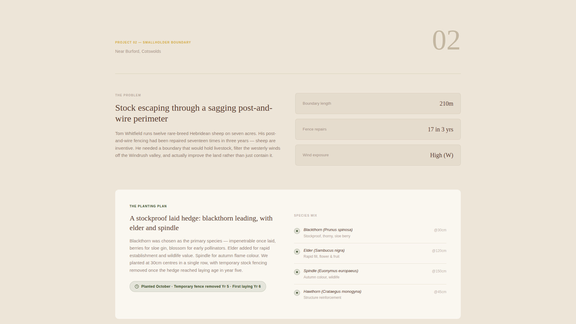 Living Fence & Hedge Installation Landing Page