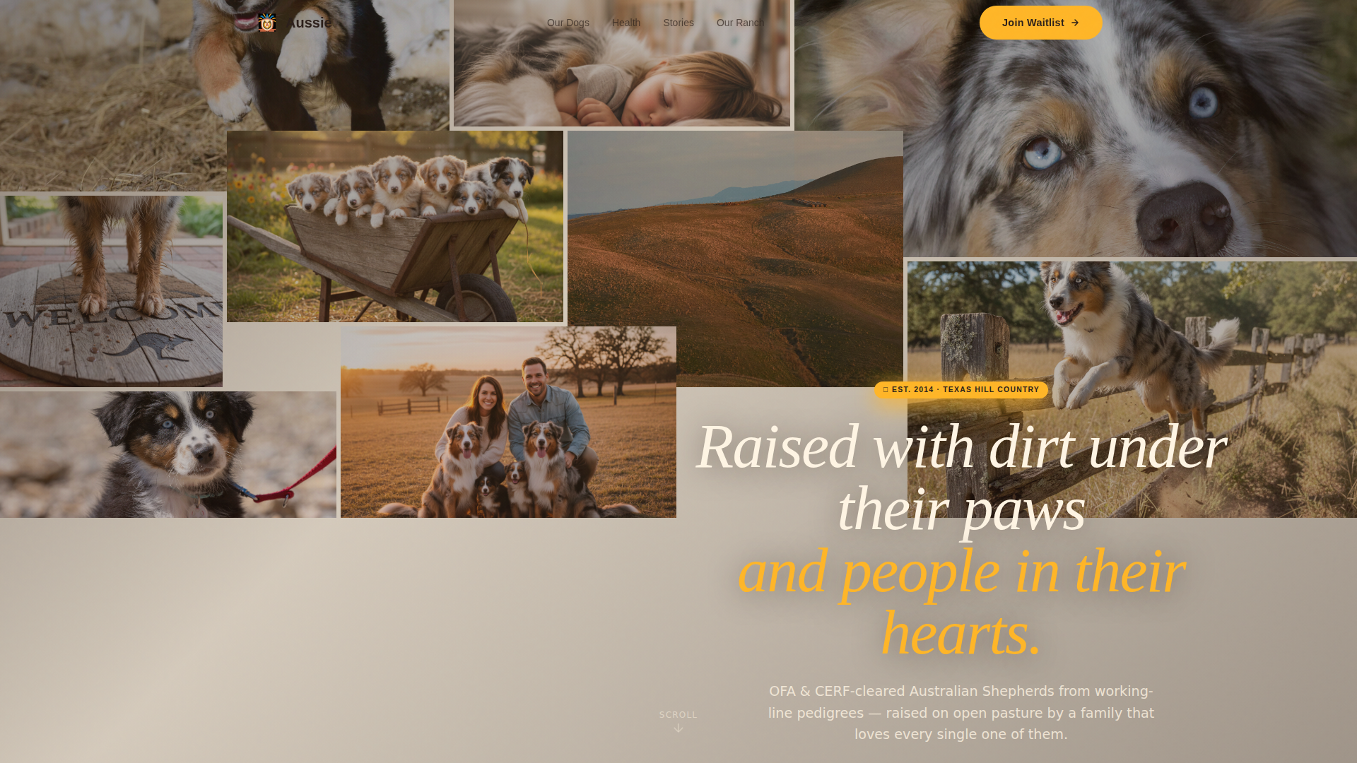 Dog Pre-Launch Website Template