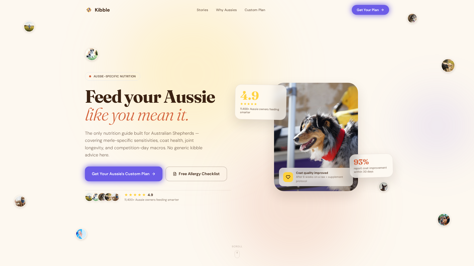 Dog Complete Reviews Website Template