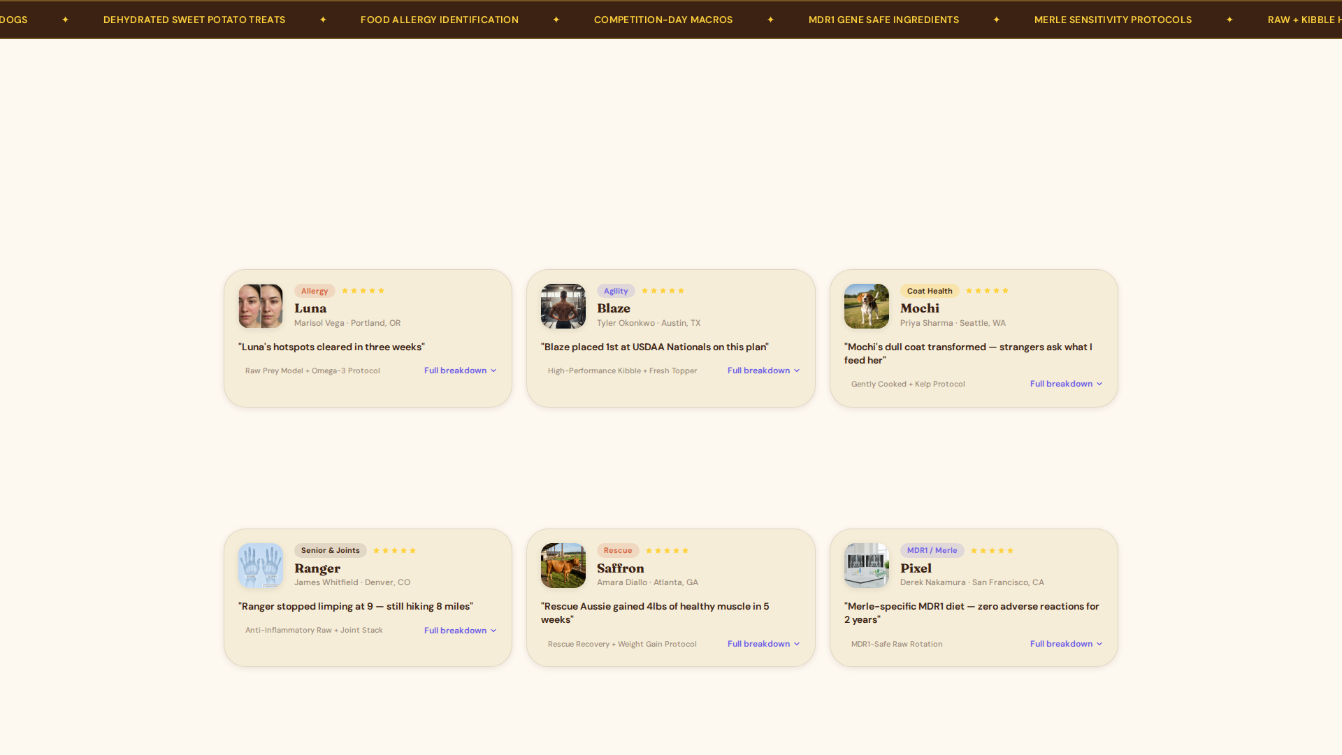Dog Complete Reviews Website Template