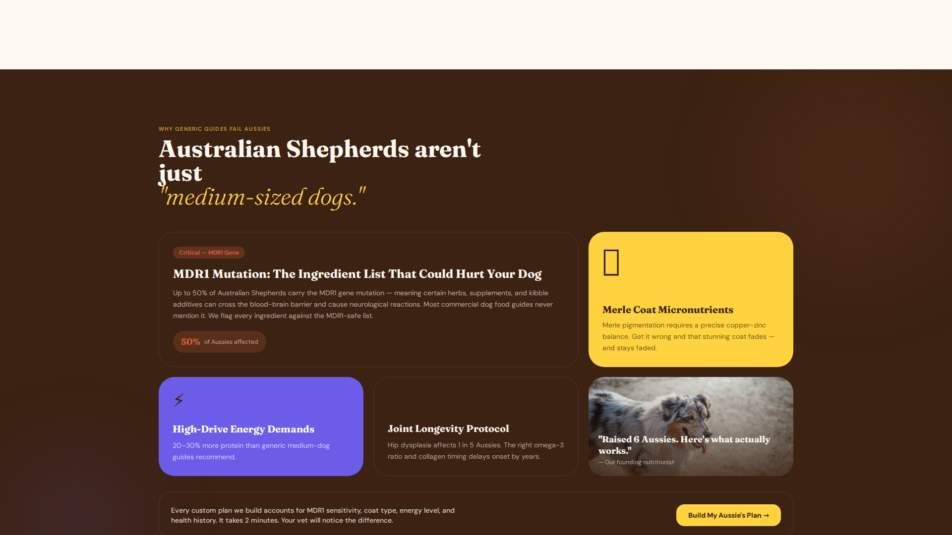 Dog Complete Reviews Website Template