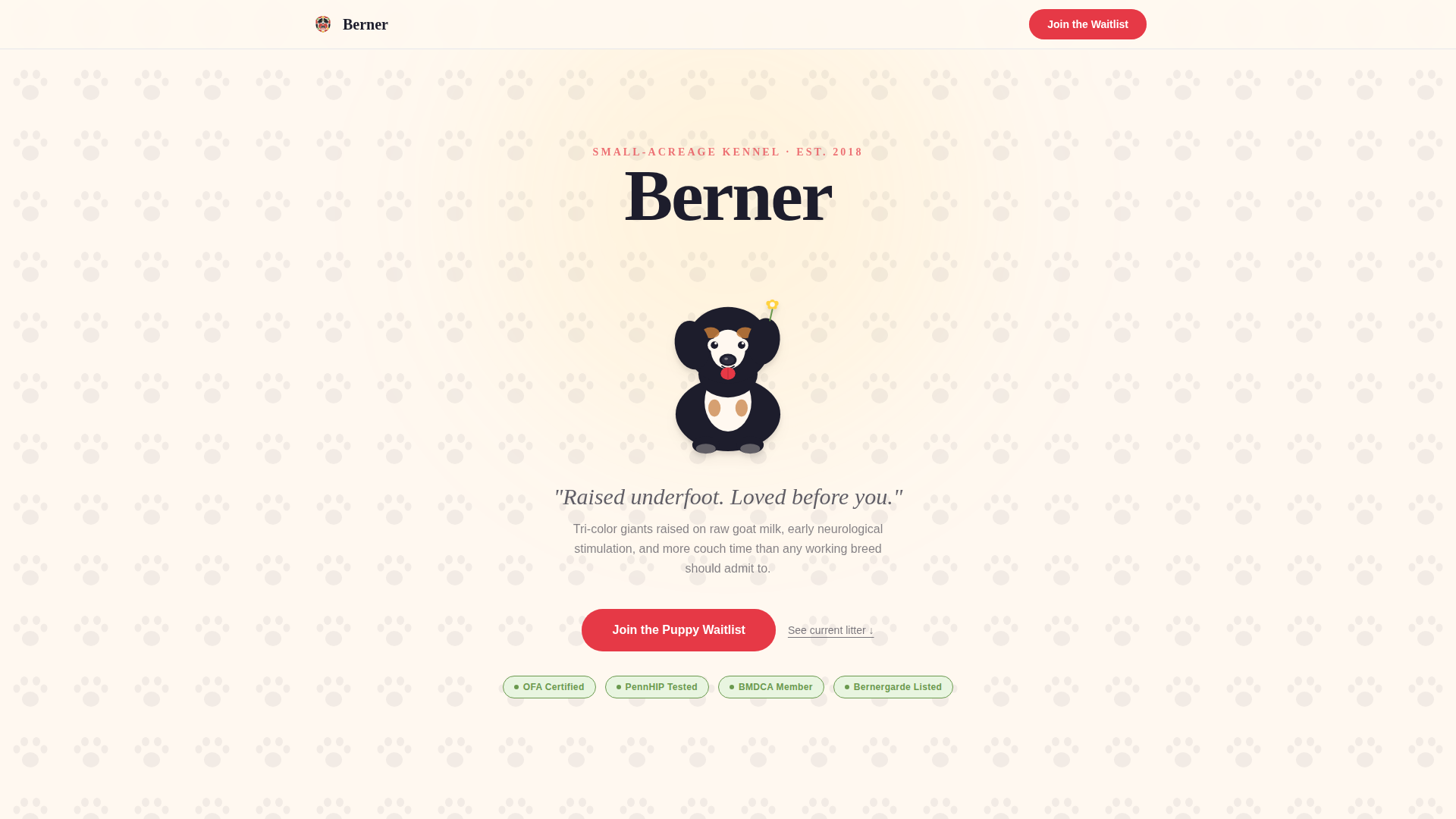 Dog Specialist Pre-Launch Website Template