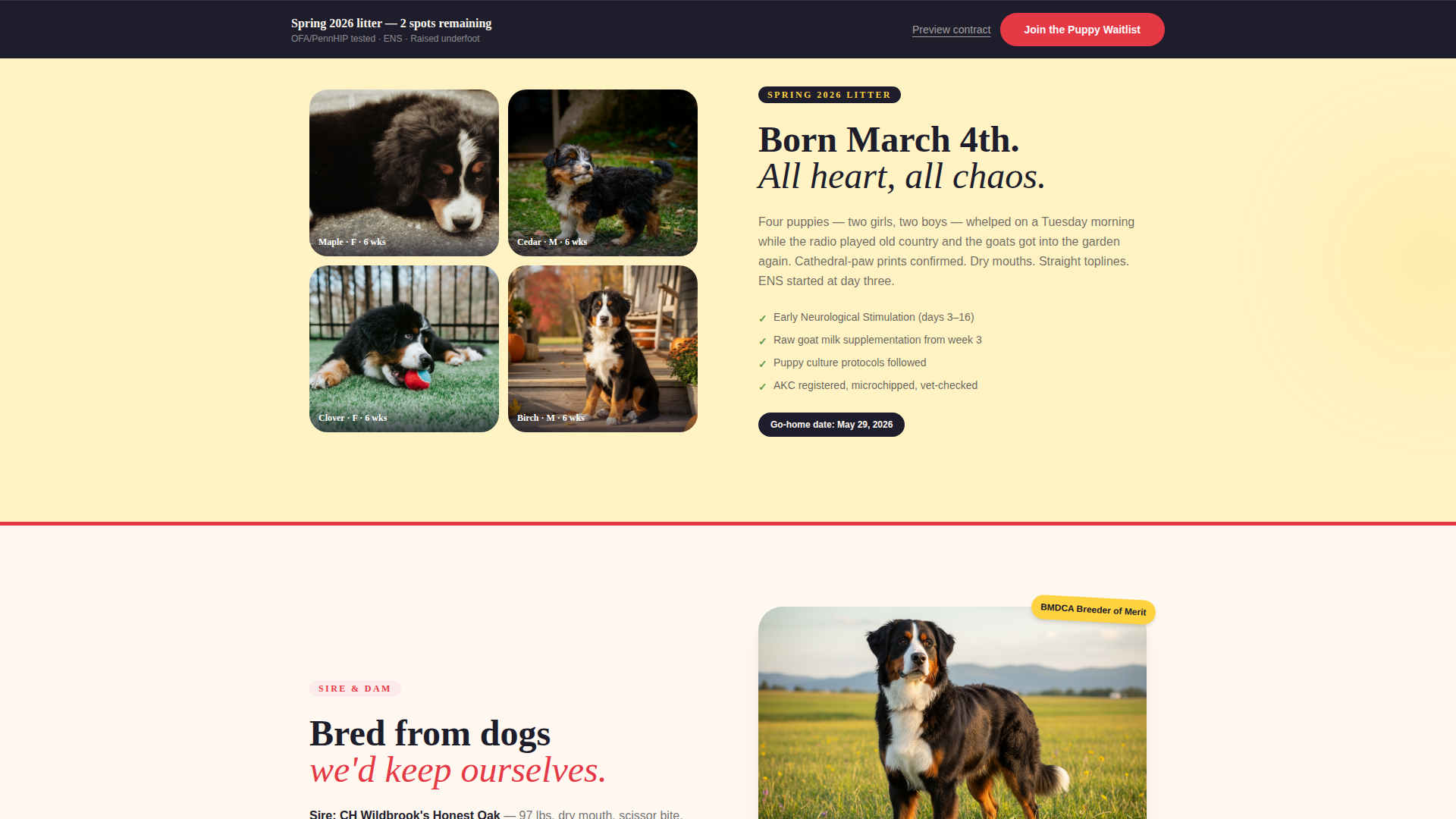 Dog Specialist Pre-Launch Website Template