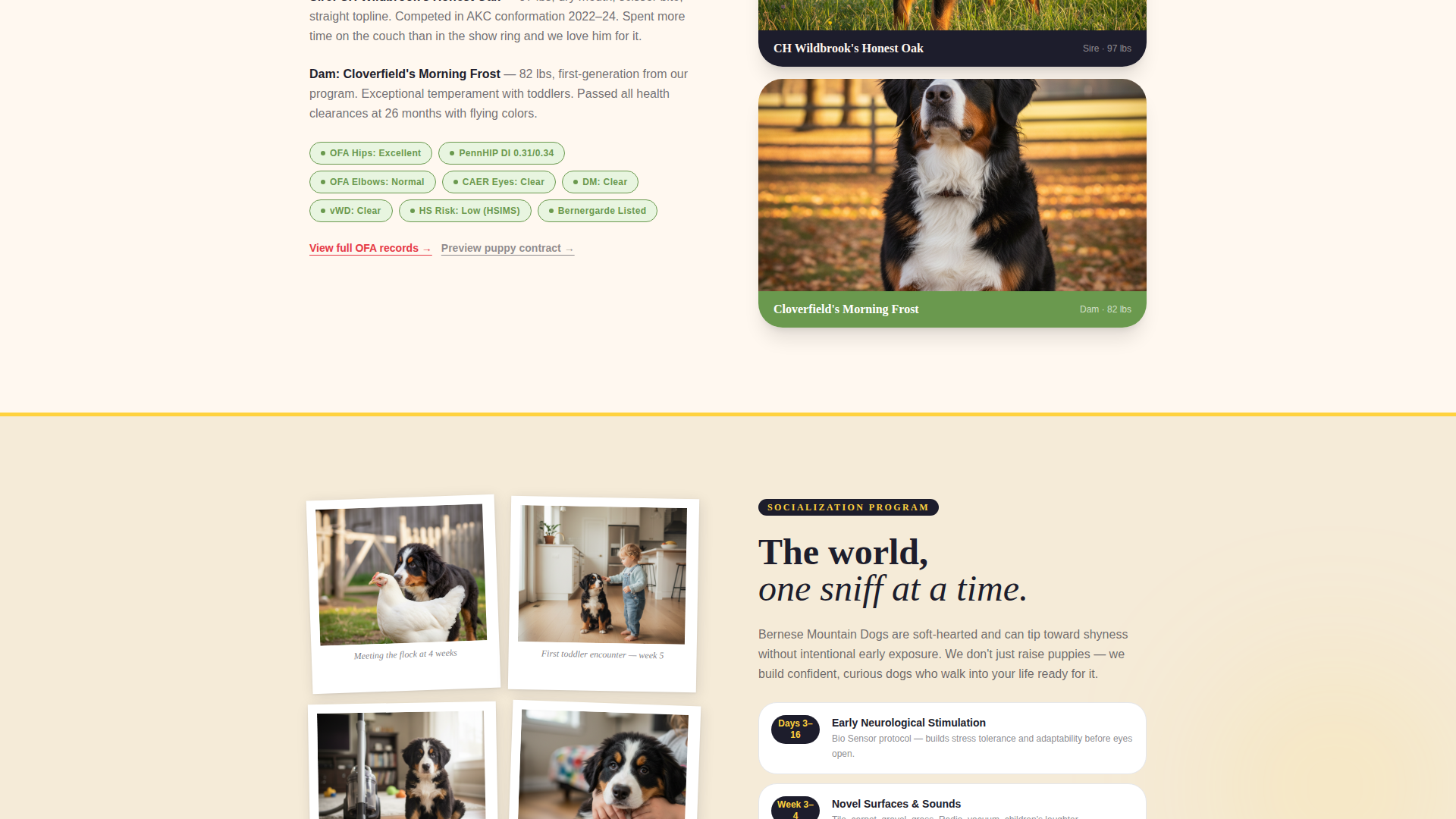 Dog Specialist Pre-Launch Website Template