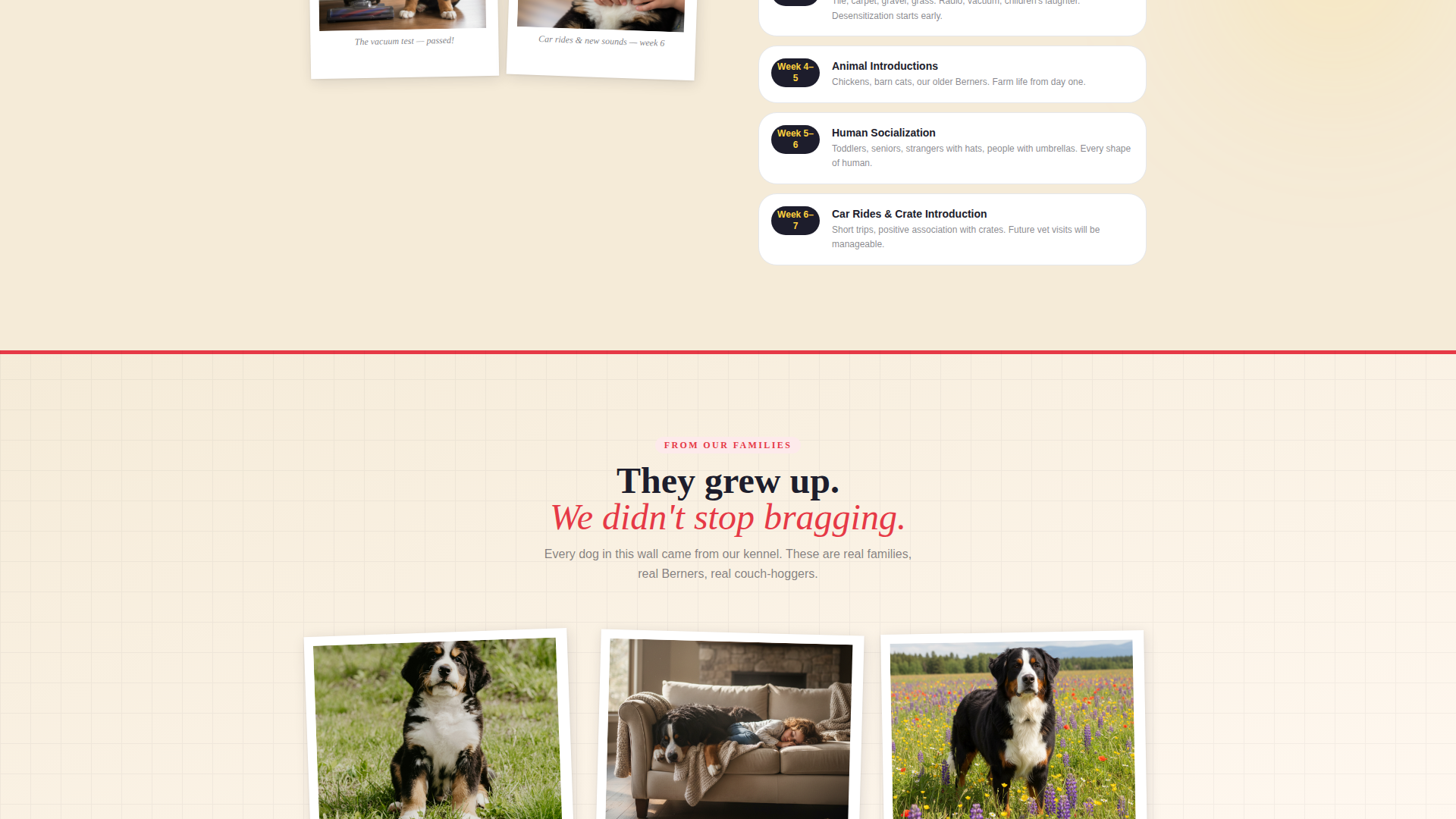 Dog Specialist Pre-Launch Website Template