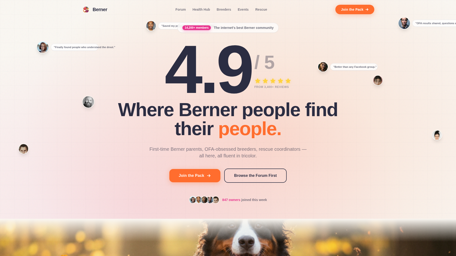 Dog Local Reviews Website Template