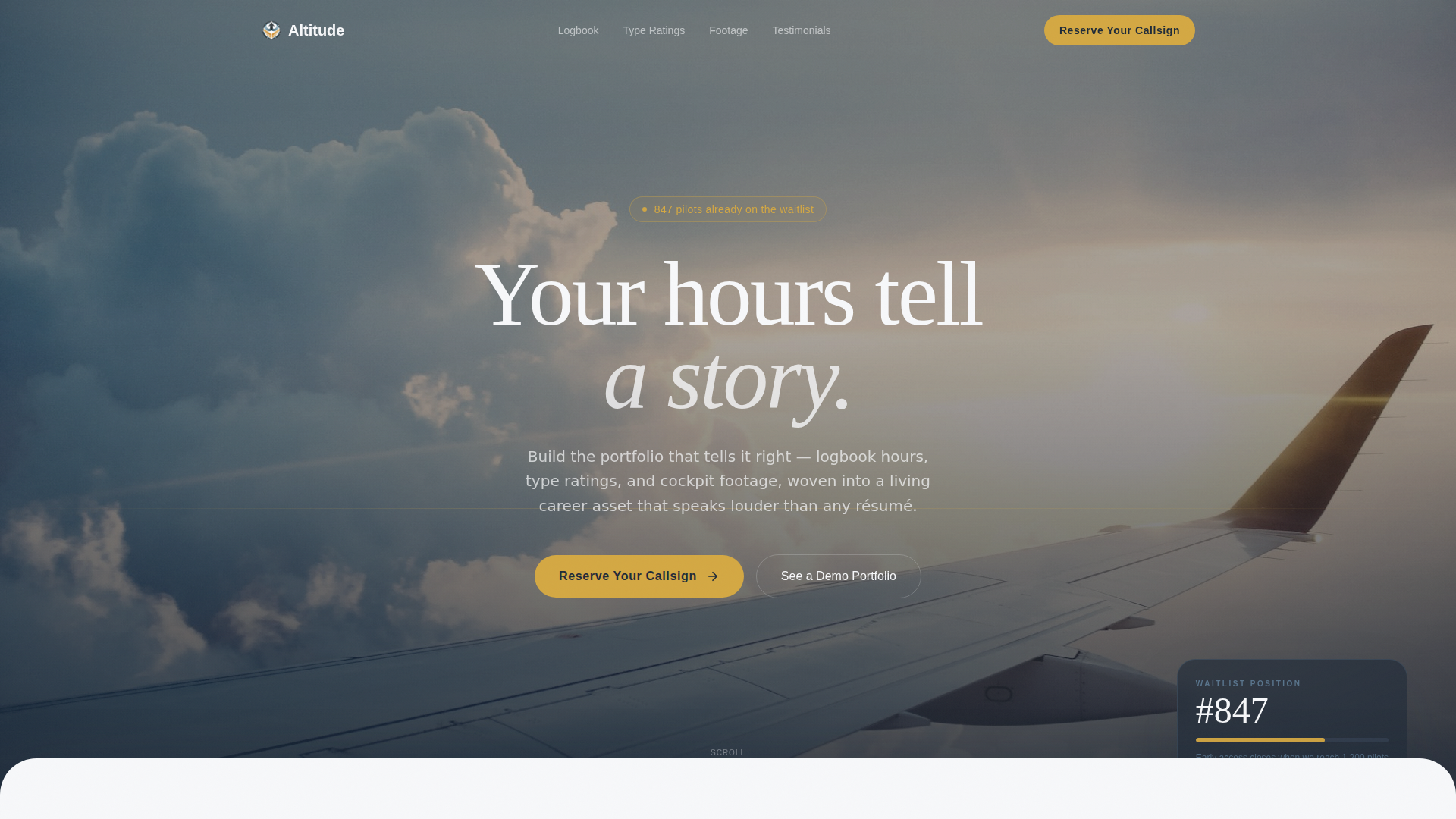 Pilot Profile Specialist Pre-Launch Website Template