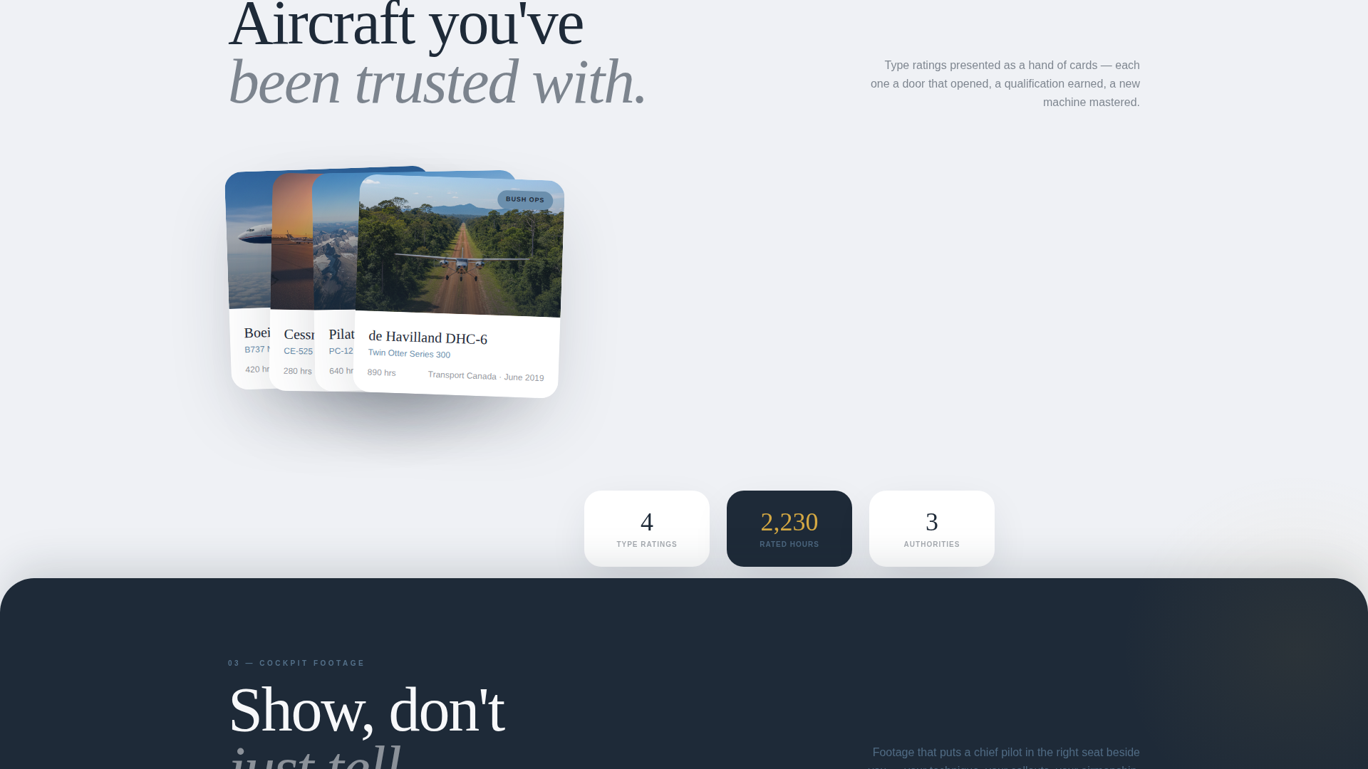 Pilot Profile Specialist Pre-Launch Website Template