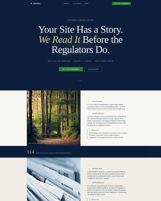Consulting & Advisory Professional Website Template