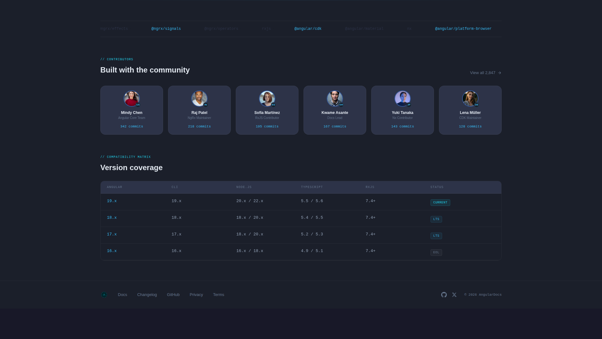 Developer Documentation Specialist Professional Website Template