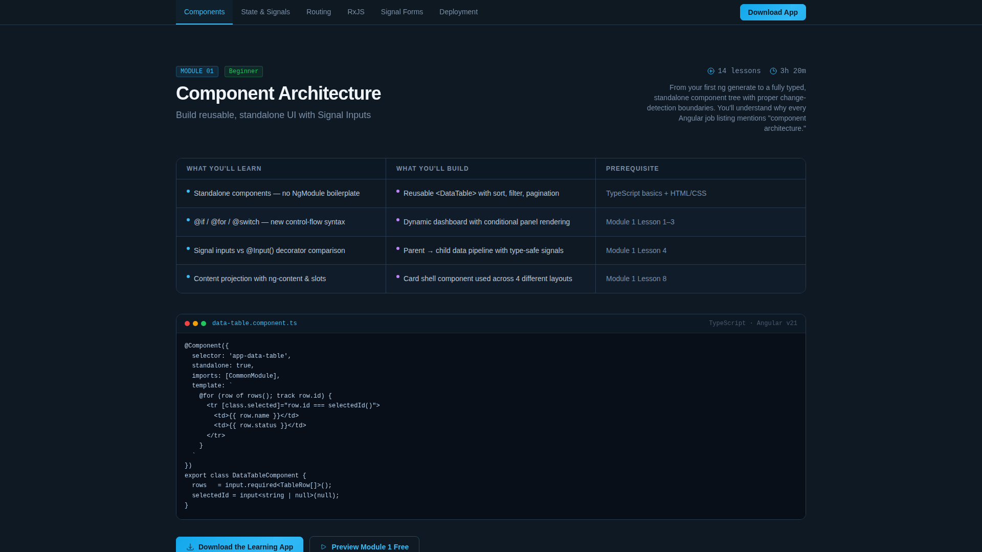 Developer Documentation Directory Website Template