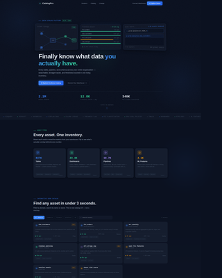 Local Data & Analytics Professional Website Template