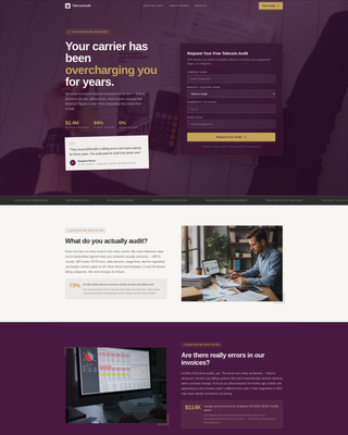 Auditwise - Precise Telecomconsulting Landing Page Template